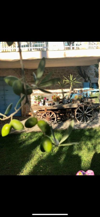 Villa Lena Polje  エクステリア 写真